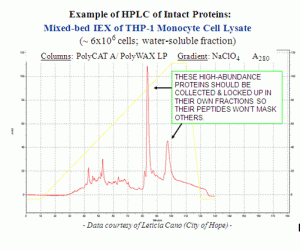 Example of HPLC of Intact Proteins