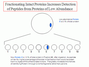 Fractionating Intact Proteins Increase Detections of Peptides